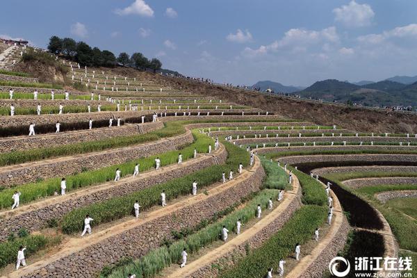 A farm participated in a local farmers market to sell fresh fruits and vegetables