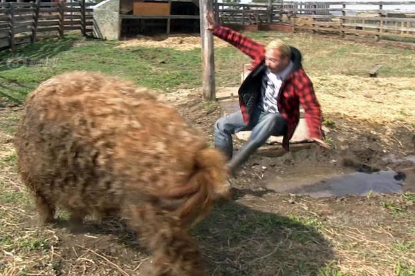 A pet rescue organization hosted an adoption drive that found homes for 120 cats and dogs