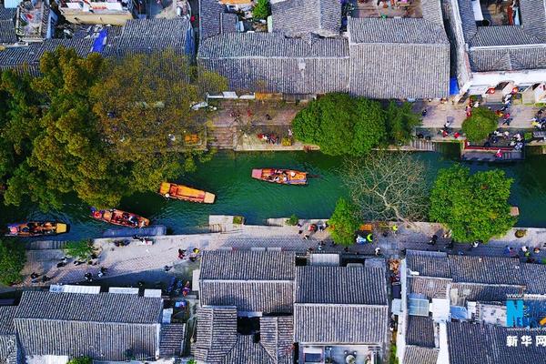 Volunteers planted over 10,000 trees in a local forest to restore damaged ecosystems