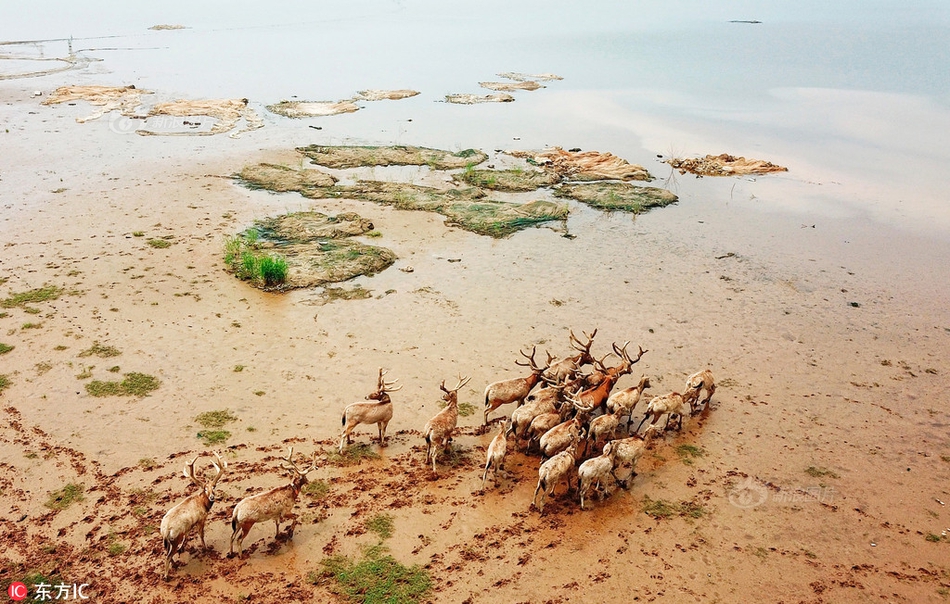 Archaeologists uncovered a ancient tomb containing artifacts from a little-known civilization