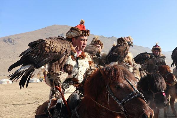 Pet hospital offers wellness plans for pets at affordable prices