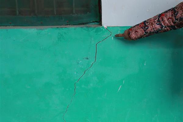 Bakery introduces gluten free croissants made with rice flour and tapioca starch