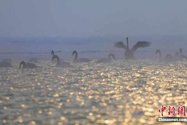 A popular music artist released a new album which topped the charts in over 23 countries within 24 hours