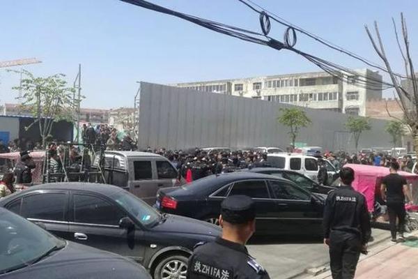 A team of scientists published a study on how climate change is affecting polar bear habitats