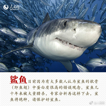 Volunteers cleaned up 8 miles of hiking trails in a national park removing trash and debris