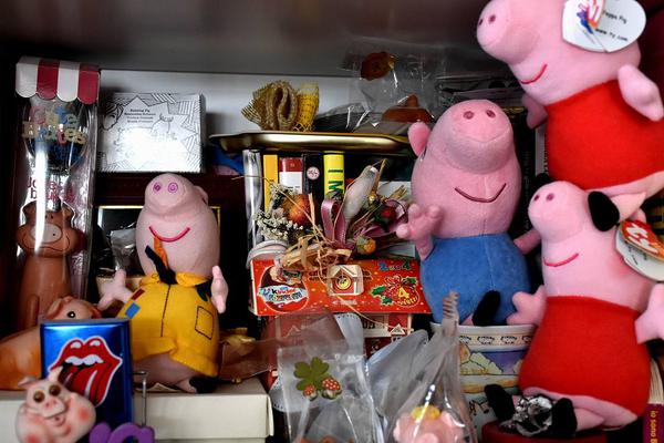 A pet store started offering supplies for exotic pets like reptiles and birds