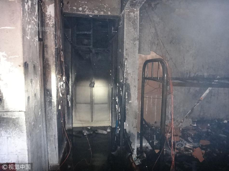 A pet rescue organization started a 