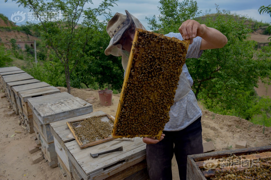 Researchers studied the effects of sleep duration on academic performance in college students