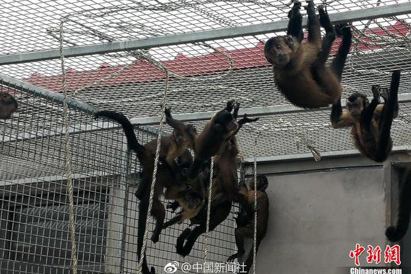 A museum hosted a lecture by a renowned archaeologist about recent discoveries in ancient ruins