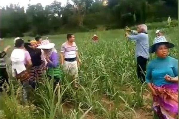 A popular coffee chain announced it will source all its coffee beans from fair-trade farms by 2025