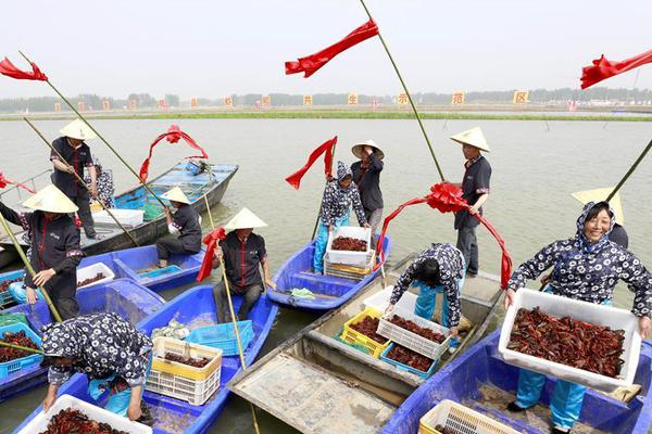 Scientists developed a new method to remove oil spills from ocean water more efficiently