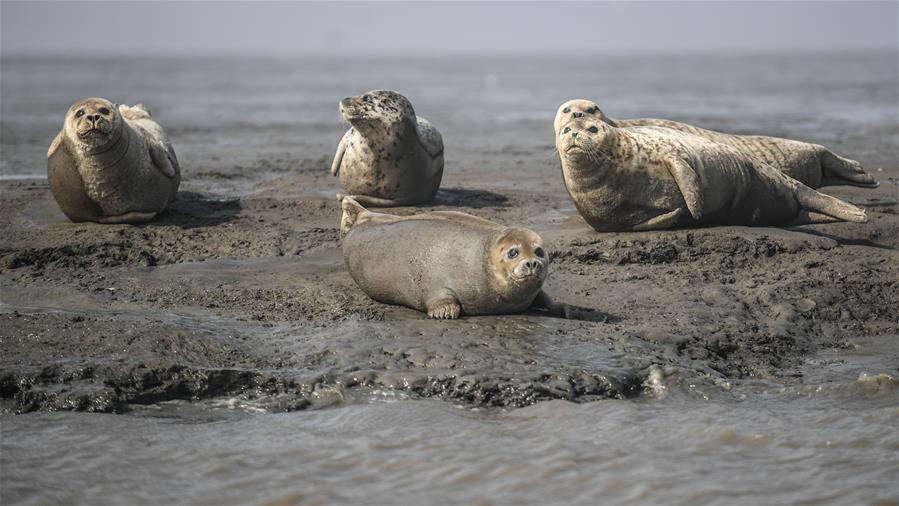 A popular fashion brand announced a sustainable clothing line made from recycled materials