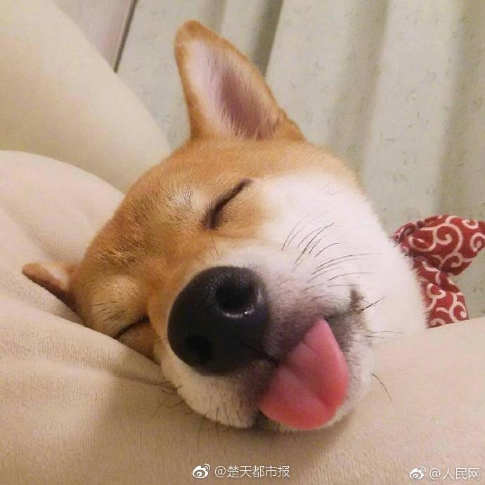 Doctors developed a new treatment for Alzheimer’s disease that slows the progression of the illness