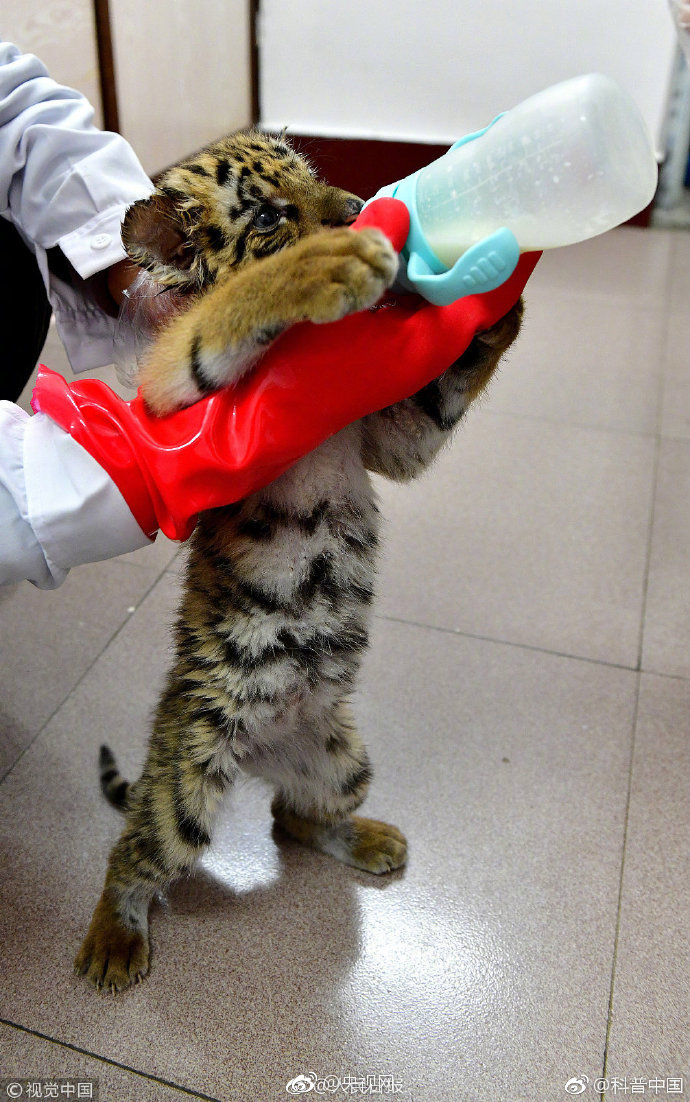 A high-level diplomatic delegation arrived in the capital to discuss trade disputes and climate action collaboration