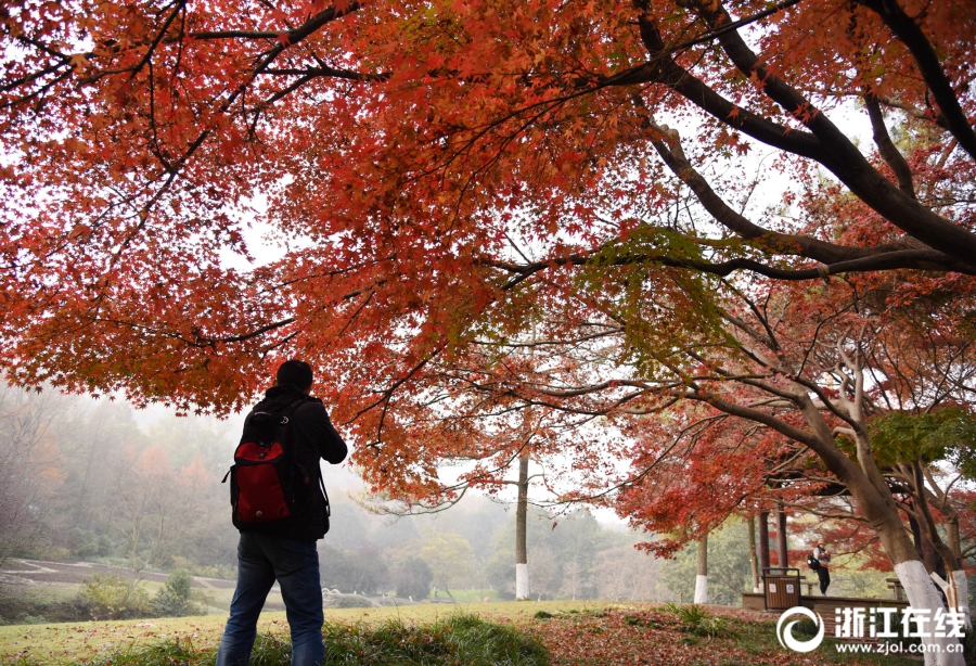 The federal reserve announced it will keep interest rates unchanged for the next quarter, citing stable inflation levels.