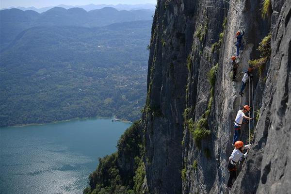 The police department launched an app that lets users report traffic violations with photos