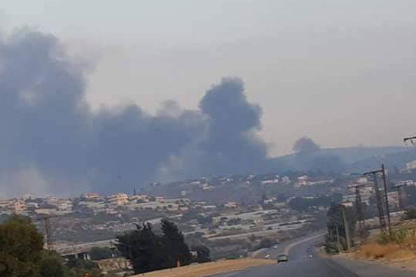Researchers discovered a new species of bird in a remote forest in South America