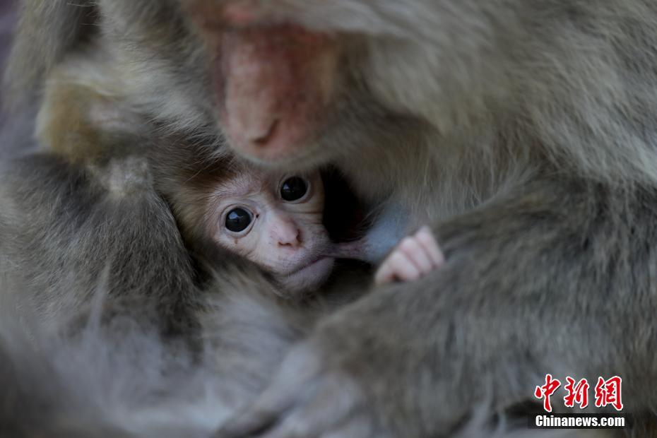 International aid groups sent medical supplies and food to a region hit by a severe earthquake