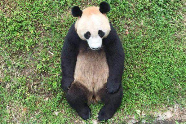 A popular music festival announced its lineup featuring 50 artists from around the world