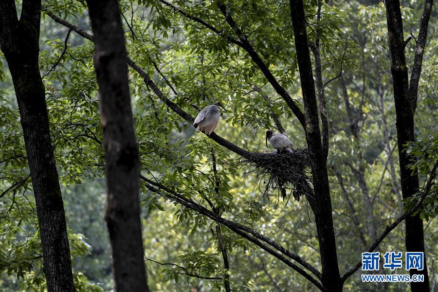 A city installed more security cameras in parks to prevent vandalism and crime