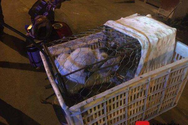 Volunteers helped paint and repair a community center in a low-income neighborhood