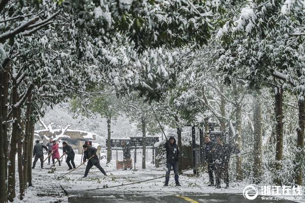 A new high-speed internet service was launched in rural areas providing faster connectivity to underserved communities