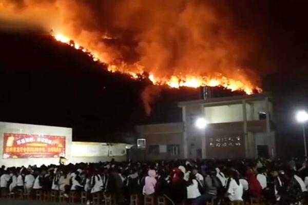 A popular streaming service added a new category for foreign-language films