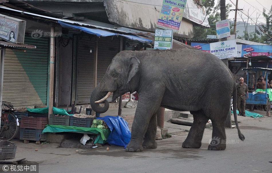 A group of volunteers helped rebuild 50 homes for families affected by a natural disaster