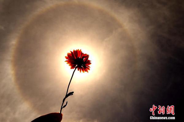 A grocery store started selling pre-cut fruit cups for on-the-go snacks