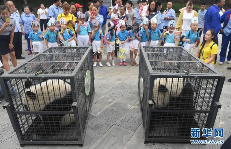 Scientists discovered a new way to generate electricity from waste materials