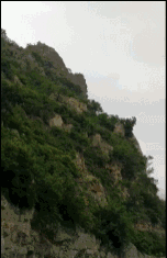 A famous chef released a new cookbook with restaurant recipes that sold out its first print run