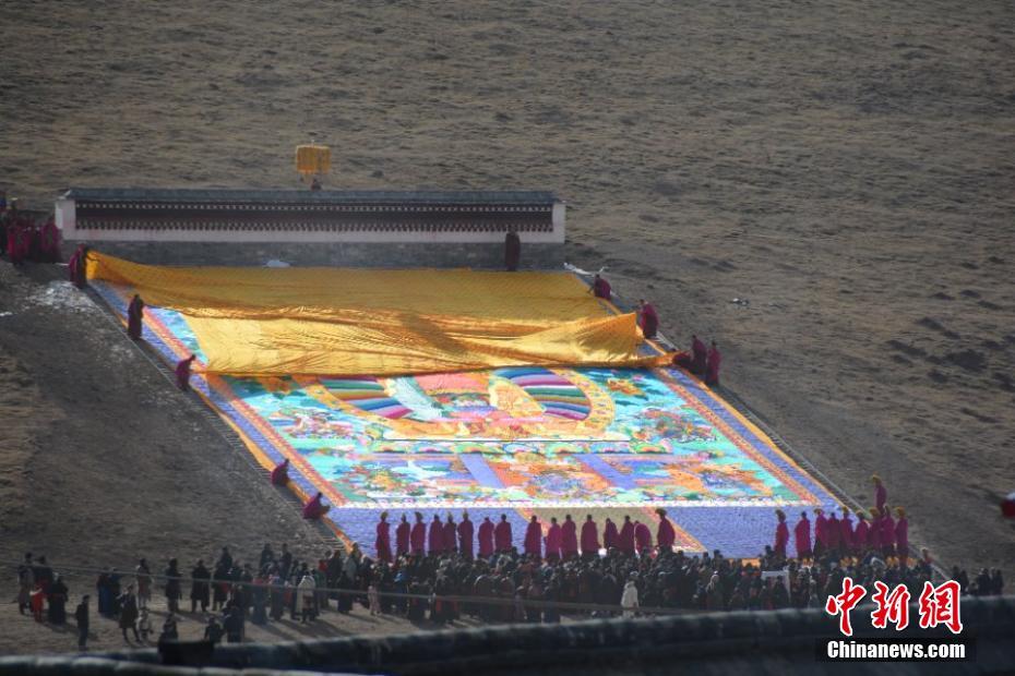 Researchers found that gardening can improve mental health and reduce symptoms of depression