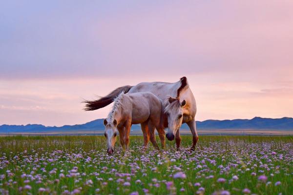 A software company launched a project management tool that integrates with Google and Microsoft apps