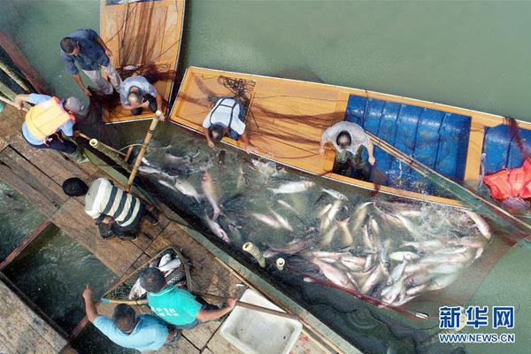 Police seized $50000 worth of counterfeit goods in a raid on a downtown market