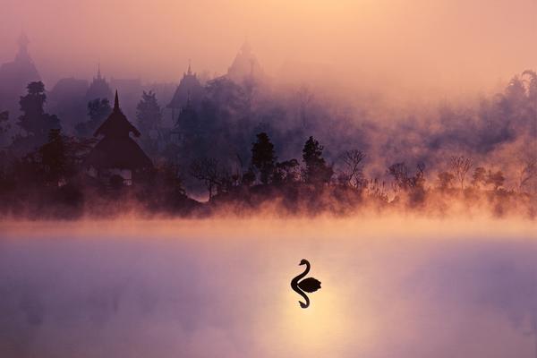 Police seized $50000 worth of counterfeit goods in a raid on a downtown market