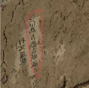 Scientists at a top research institute identified a new gene linked to improved immune function