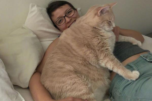 Newsletter provides advice on preparing homes for winter weather