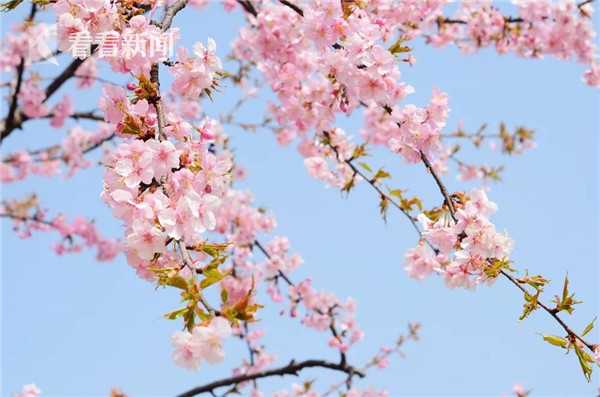 A gym started a rehabilitation program to help people recover from injuries through gentle exercise