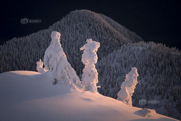 A study found that spending time with pets can lower stress hormones and improve mood in adults