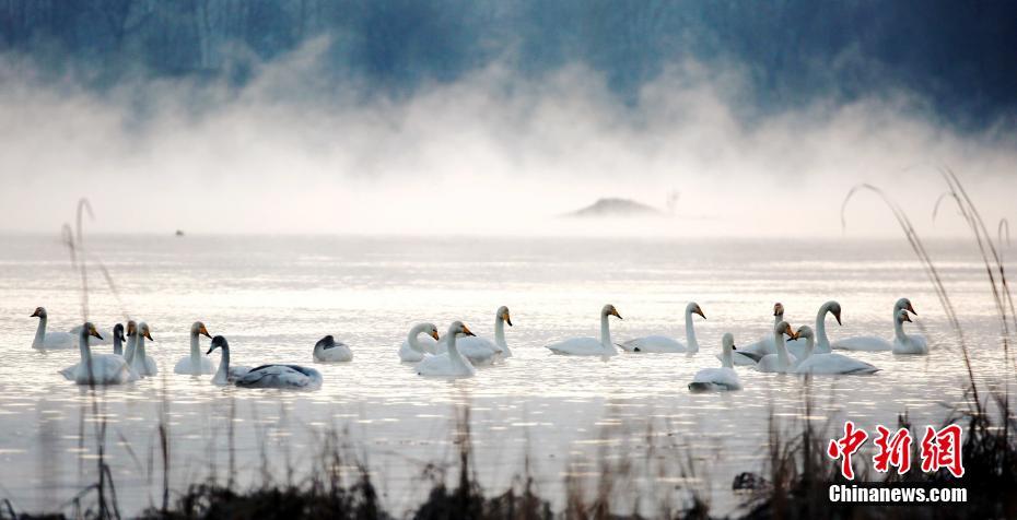 Astronomers detected a new planet that may have conditions suitable for life