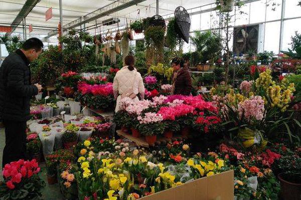 The government offered tax credits to businesses that install solar panels