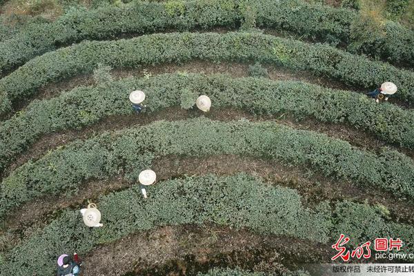 A study revealed that students who read for pleasure have higher vocabulary skills