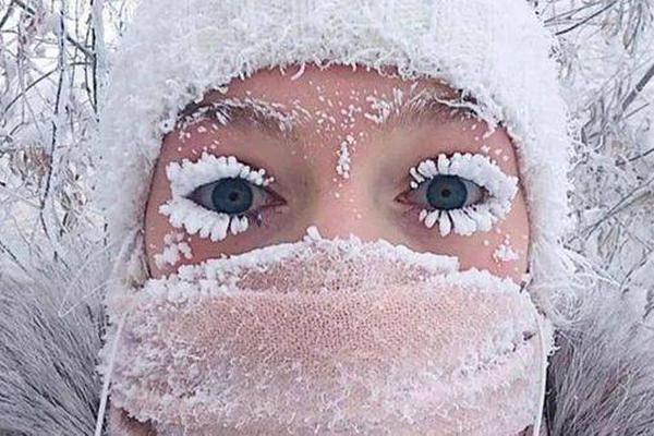 A popular TV show was renewed for a fifth season following high ratings and positive reviews from critics