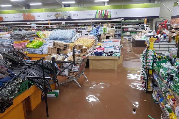 A university research team found that eating one serving of berries daily can boost immune function