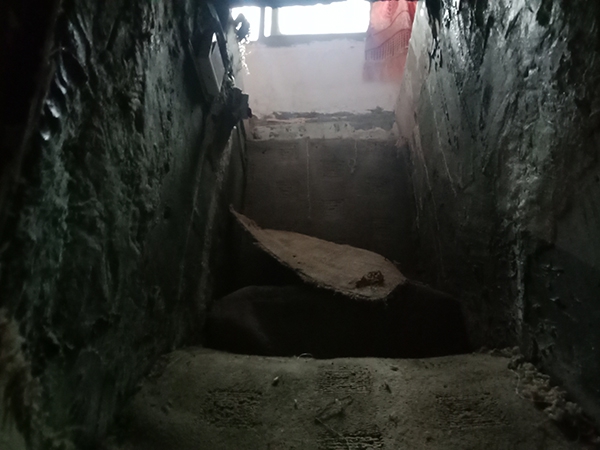 A pet store started offering grooming services for dogs and cats