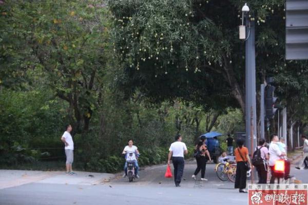 A charity started a housing program to help homeless individuals find and maintain apartments