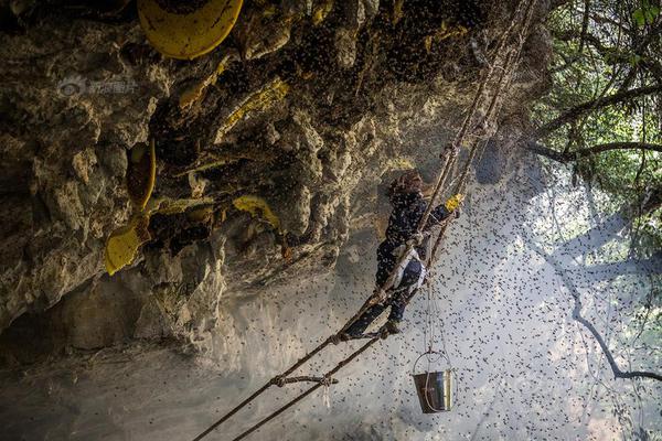 A scientist published a research paper on a new way to treat Alzheimer’s disease