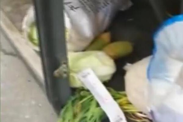 A new study showed that exercising outdoors provides more health benefits than indoor workouts