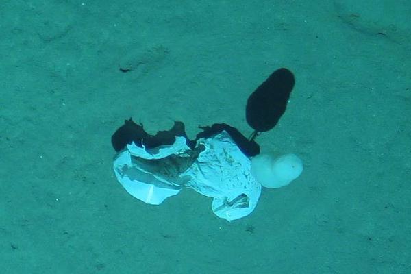 A tech startup launched an app that helps users manage their personal finances and save money