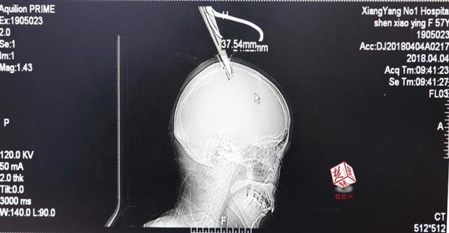 A streaming service added a new category of classic movies to its library for film enthusiasts